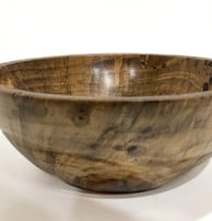 Norfolk Island Pine 260mm x 105mm