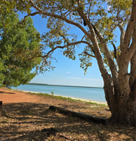 Tiwi Islands 