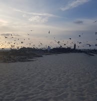 Latham Island Fishing Charters Zanzibar - Sunset over Latham Island