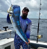 Catamaran fishing charters Seychelles - Dorado