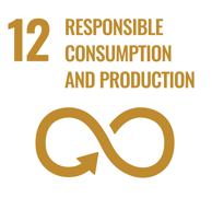 SDG 12