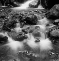 Fotografía  en blanco y negro, en larga exposición, Cañada