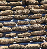 Dried trepangs (sea cucumbers) selected by Madopex, Madagascar's leader in seafood exports.