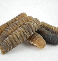 Dried trepangs (sea cucumbers) selected by Madopex, Madagascar's leader in seafood exports.