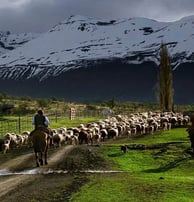 Tradiciones