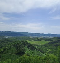 a view of a mountain range with a bench and a bench