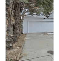 a fire hydrant sitting on the side of a driveway