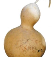 Example d'un pôt idéal de transport et conservation du jus de banane