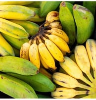 Ingredient principal de fabrication de notre vin alcoolique and non-alcoolique, la banane