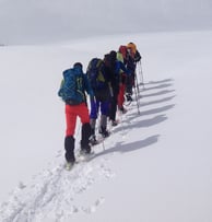 grupo de personas caminando en la nieve