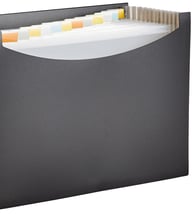 AmazonBasics Expanding File with 13 Pockets - Letter Size (₹399)