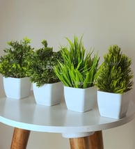 Litleo Plastic Artificial Plants Mini, Eucalyptus Potted Faux Decorative Grass Plant (₹194)