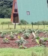Eco Farm Accomodations at Healing Journey Center