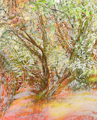 Digital collage - Little Oak layered
