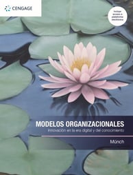 modelos organizacionales