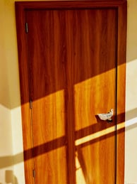 a door with a door handle and a door handle