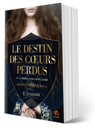 Le Destin des Cœurs Perdus Tome 2.
