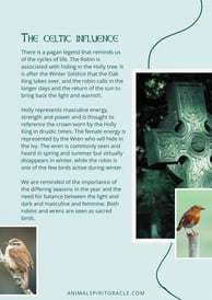 Page from the Free Robin Spirit Animal PDF