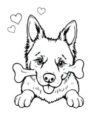 Corgi kleurplaat