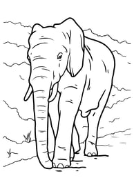 Kleurplaat van een olifant