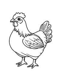 Simpele kleurplaat van een boerderij kip