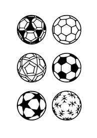 6 verschillende voetballlen
