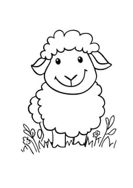 Simpele kleurplaat van een schaap