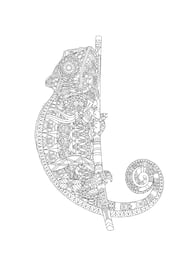 Mandala kleurplaat van een Kameleon