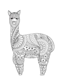 Mandala kleurplaat van een lama