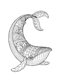 Mandala kleurplaat van een Walvis