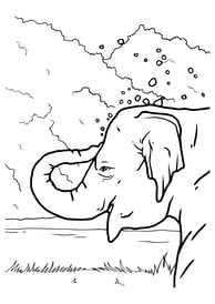 Kleurplaat van een olifant met water