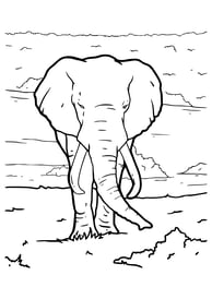 Simpele kleurplaat van een olifant