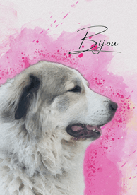 a dog is shown in this picture
