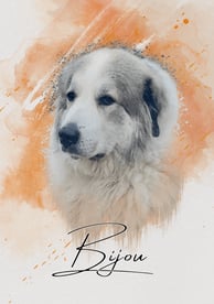 a dog is shown in this picture