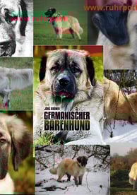 a collage of dogs and dogs in a collage of different breeds