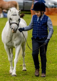 Kid leading horse in a class at Cwmdu Agricultural show