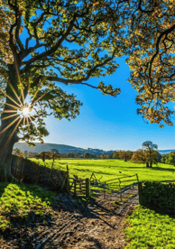 regularização de imóveis rurais