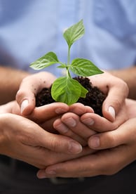 Startup innovativa