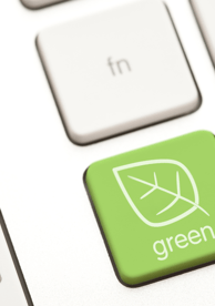 Raisa_marketing per brand bio