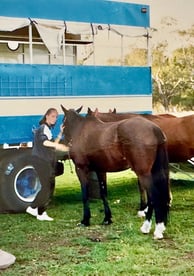 Peter Pickering's polo groom and three of his ponies at King's Meadow, Perth