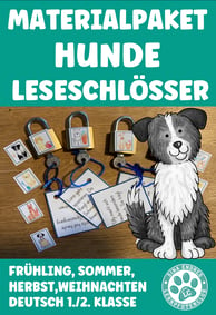 Leseverständnis Leseschlösser