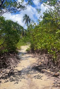 Trilhas, Ilha de Boipeba Praia de Castelhanos Refúgio do Sagrado. Eventos e hospedagem