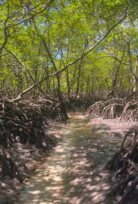 Trilhas, Ilha de Boipeba Praia de Castelhanos Refúgio do Sagrado. Eventos e hospedagem