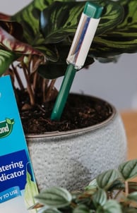 Watering moisture meter for houseplants