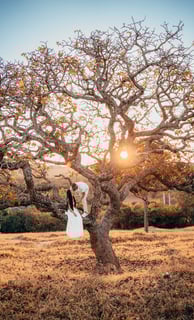 Fotografo de casamento BH