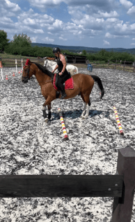 a woman riding a horse in a field