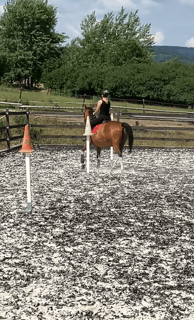 a woman riding a horse in a fenced in area