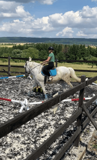 a woman riding a horse in a fenced in area