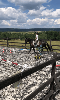a person riding a horse in a fenced in area