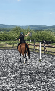 a person riding a horse in a field